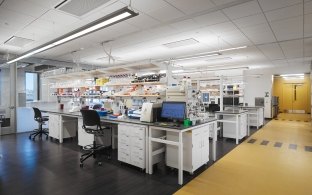 A research room with workstations.