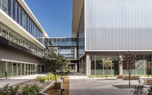 Exterior view between buildings on the campus with a walkway and greenery