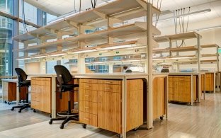 A brightly-lit bank of research stations in a genome lab.